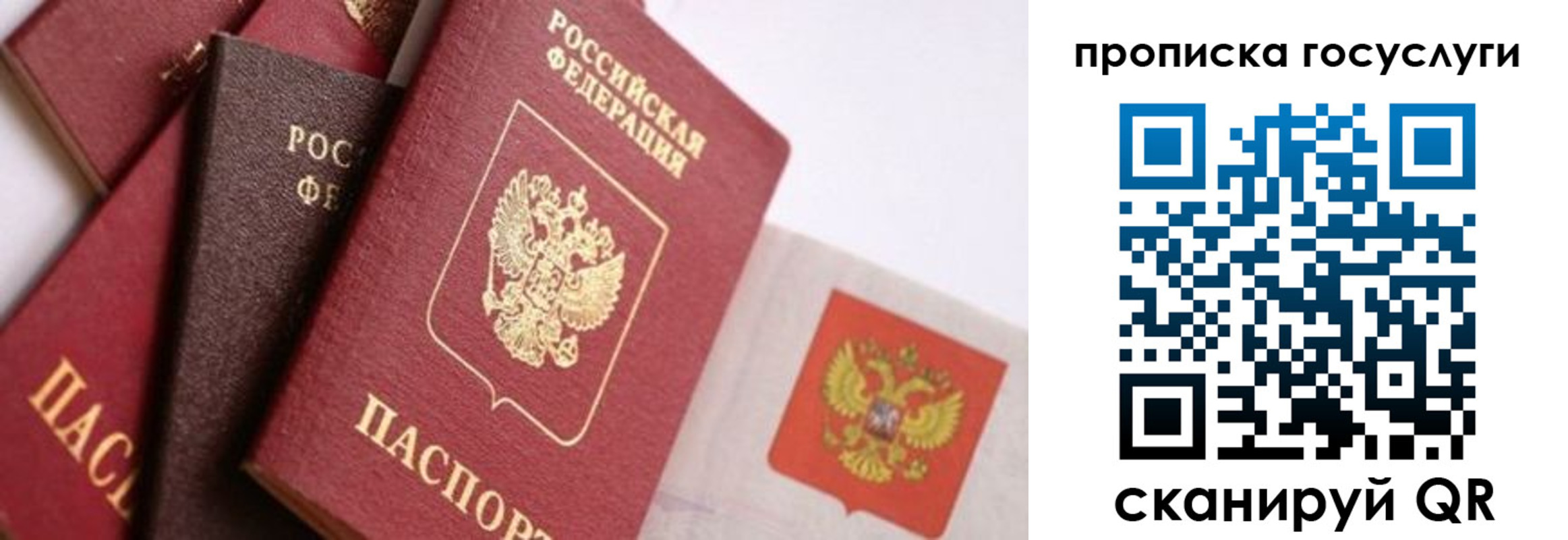 прописка законно в Белово